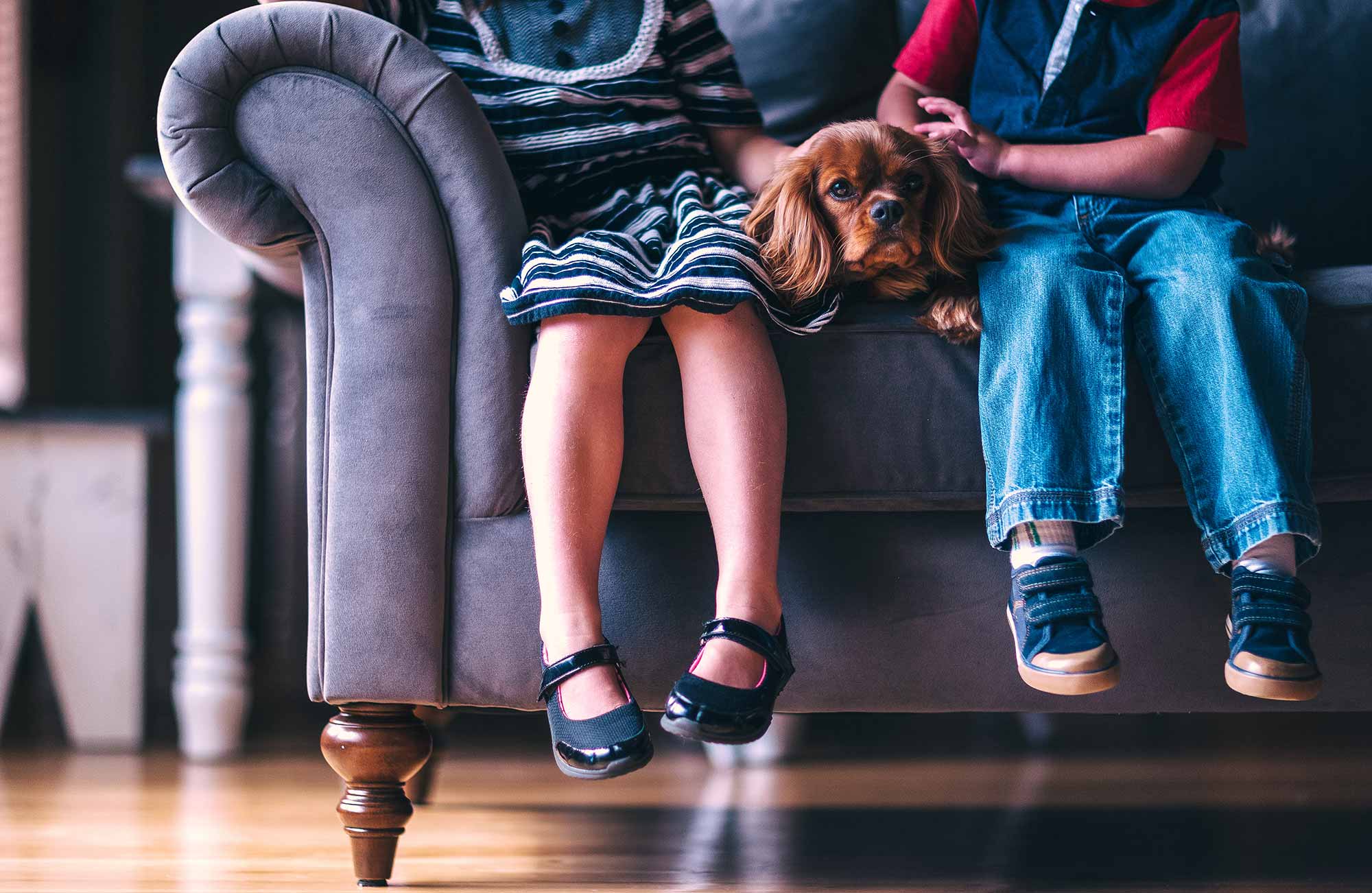 Kinder mit Hund auf dem Sofa